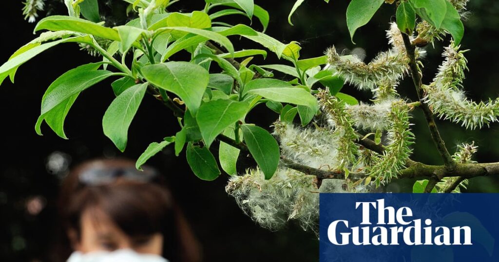 Climate Change Intensifies Hay Fever And Diminishes Our Connection To