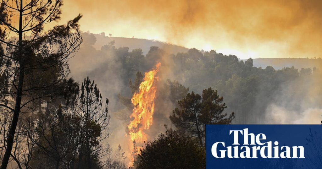 Climate Crisis Leads To 100,000 Extra Deaths From Extreme Temperatures