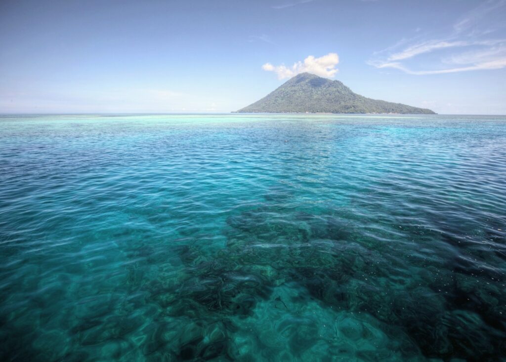 Coral Reefs Under Siege: A New Threat Emerges Beyond Ocean Warming Coral Reefs Under Siege: A New Threat Emerges Beyond Ocean