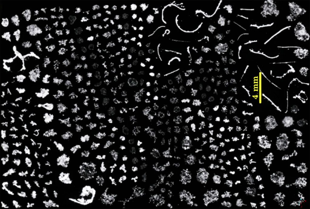 Marine Snow: Tiny Particles with Big Climate Impact Marine Snow: Tiny Particles With Big Climate Impact