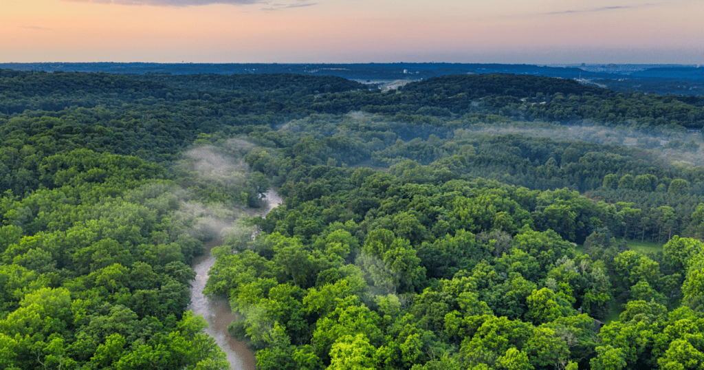 Saharan Dust Enriching the Amazon: Fertility Boost for the World’s Lushest Forests Saharan Dust Enriching The Amazon: Fertility Boost For The World’s