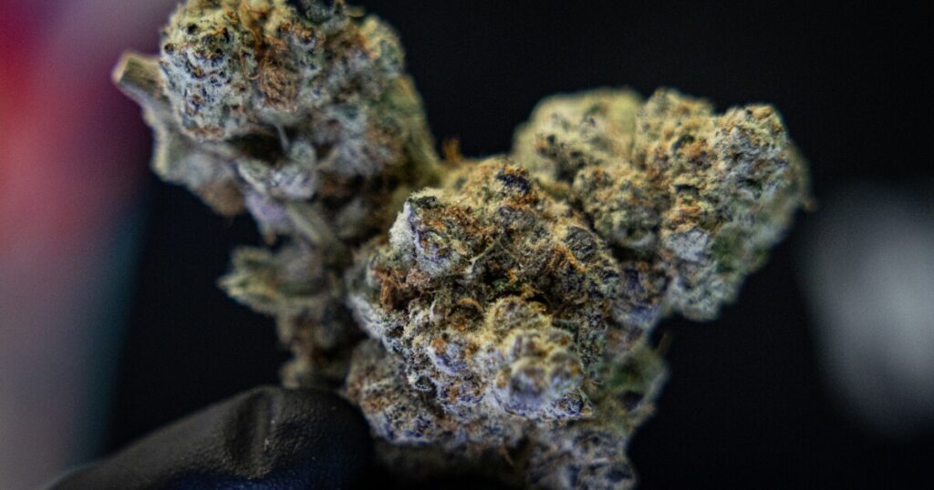 Texas Cannabis Industry Secures Temporary Legal Victory