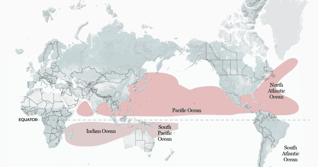 El Niño’s Impact on Global Tropical Cyclones This Year El Niño's Impact On Global Tropical Cyclones This Year