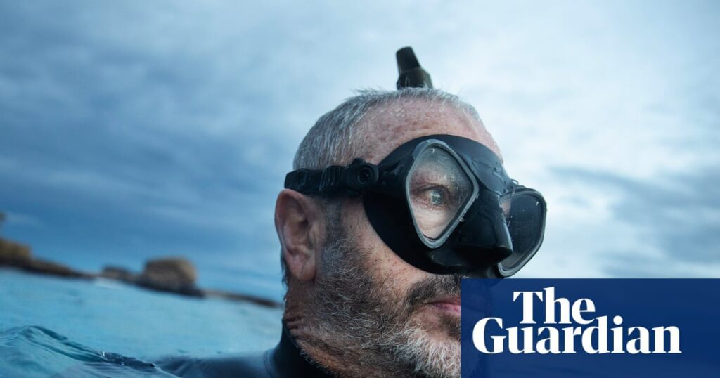 Shark Bite Concerns Rise Among Australian Marine Enthusiasts: Unpacking the Mystery Shark Bite Concerns Rise Among Australian Marine Enthusiasts: Unpacking The
