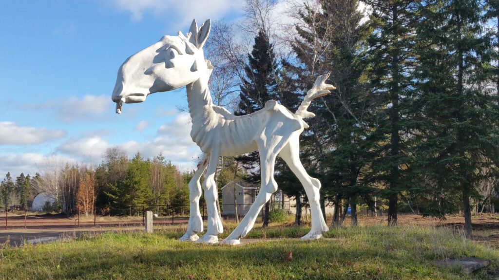 Transforming a Forgotten Tourist Spot in New Brunswick into a Stunning Campground Experience Transforming A Forgotten Tourist Spot In New Brunswick Into A