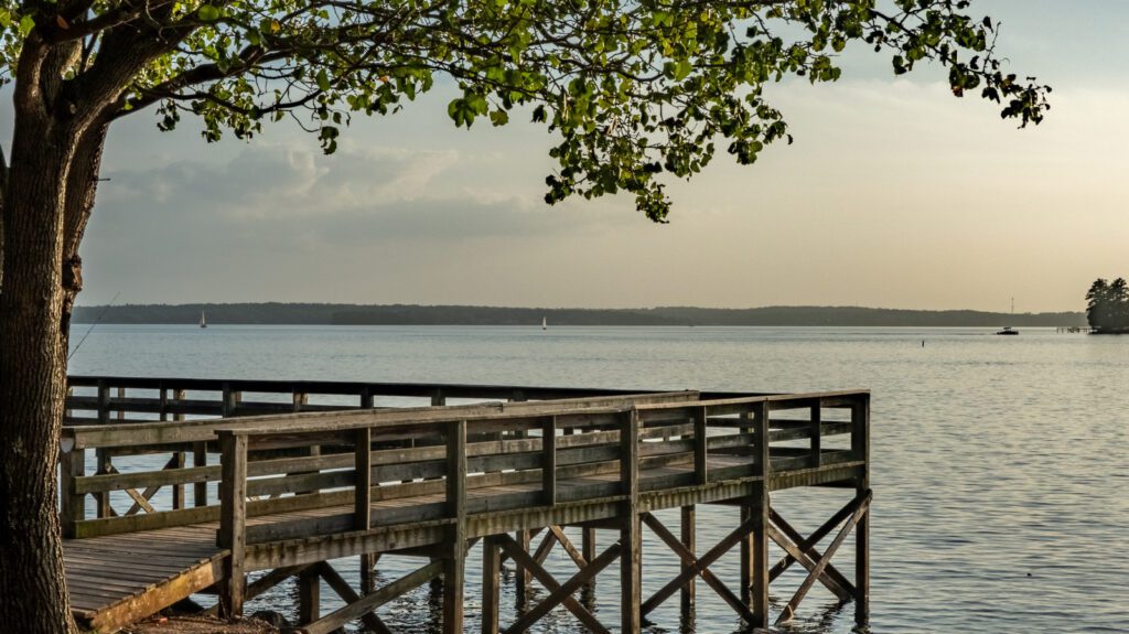 Discover the Enchantment of South Carolina: Lake Adventures, Shopping, and a Lively Downtown Discover The Enchantment Of South Carolina: Lake Adventures, Shopping, And
