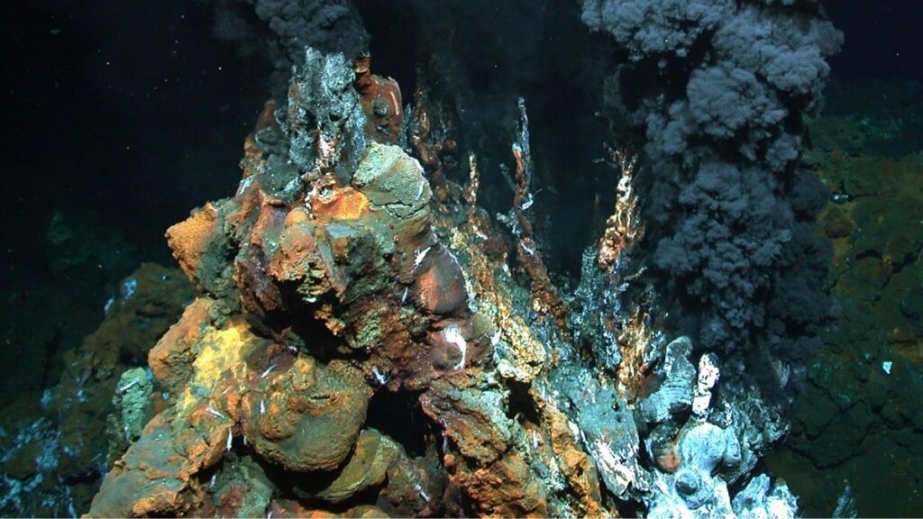Discoveries of Abundant Gold on the Ocean Floor Discoveries Of Abundant Gold On The Ocean Floor