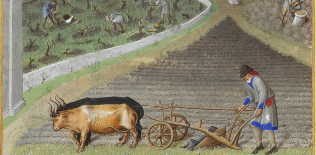 Exploring The Warm Periods Of The Middle Ages And Today