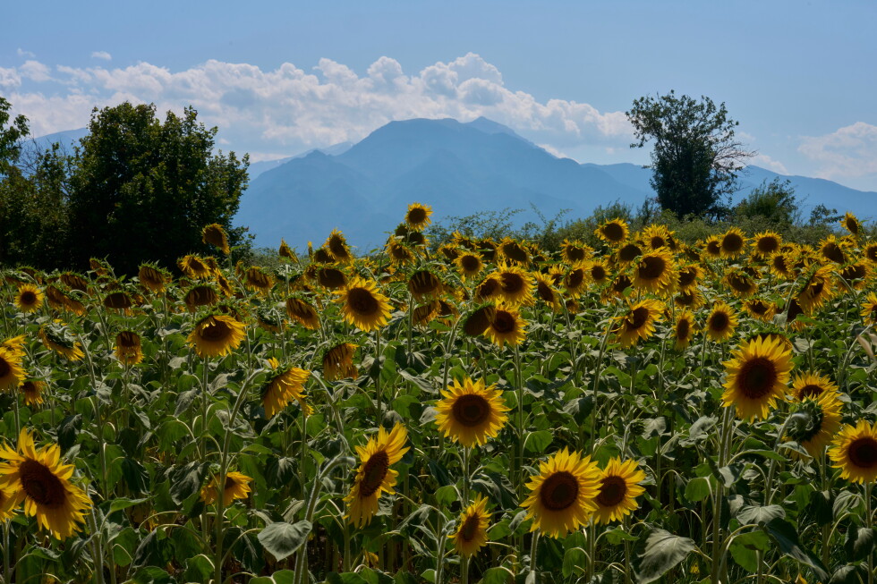 Mount Olympus Seeks UNESCO World Heritage Status Mount Olympus Seeks Unesco World Heritage Status