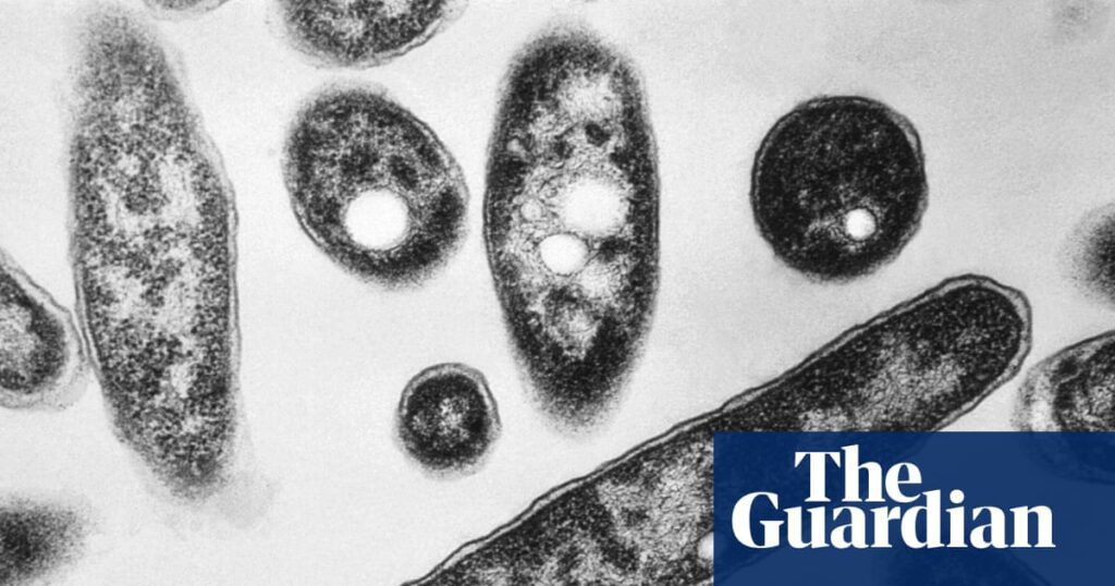 New York Faces Rising Legionella Threat Amid Climate Change Concerns New York Faces Rising Legionella Threat Amid Climate Change Concerns