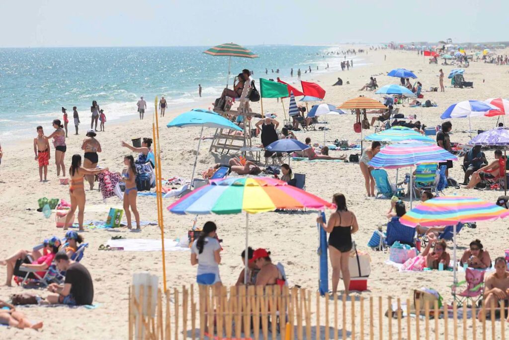 Shark Attack on Long Island: Man Injured Amid Rising Shark Sightings in New York Waters Shark Attack On Long Island: Man Injured Amid Rising Shark